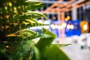 Diseño de stand para ferias